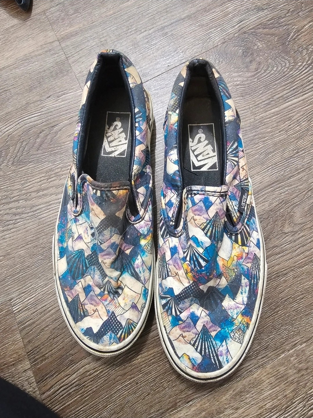 Vans Slip-On Loafers in Blue, White, Black & Tan Mountain Print